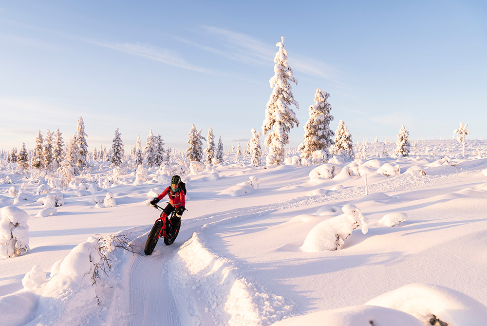person riding a fatbike in a snowy winter forest in Finnish Lapland