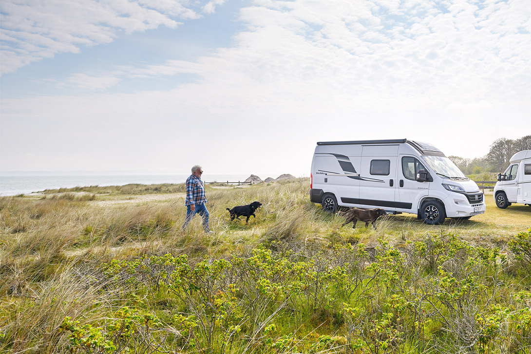 man and his dog camping with a motorhome