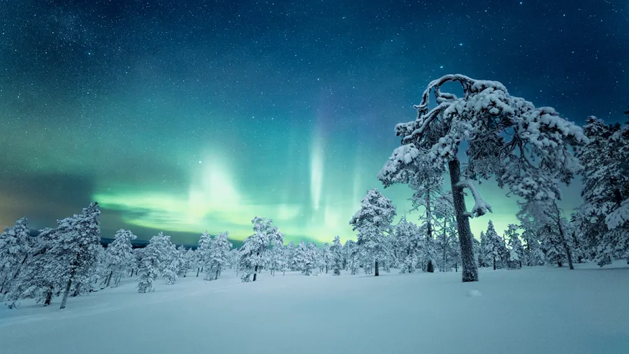 finland lapland aurora borealis northern lights nature