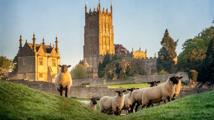 shutterstock_england_castle_lambs