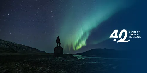 silhouette-person-northern-lights